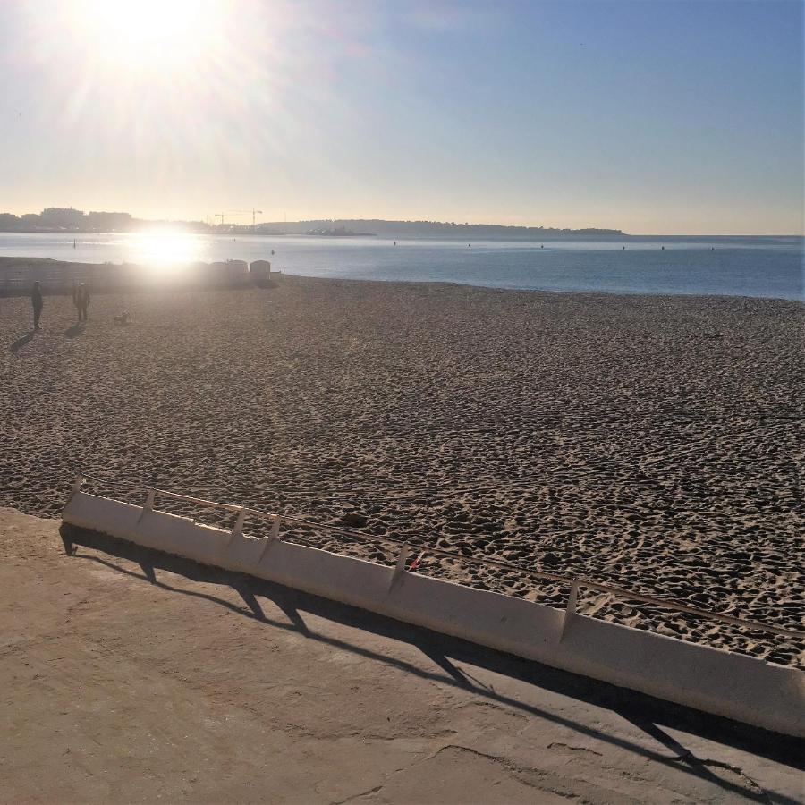 T2 Proche De La Gare, A 10 Minutes A Pieds De La Croisette, Piscine & Parking Dans Residence De Haut Standing Cannes Eksteriør billede